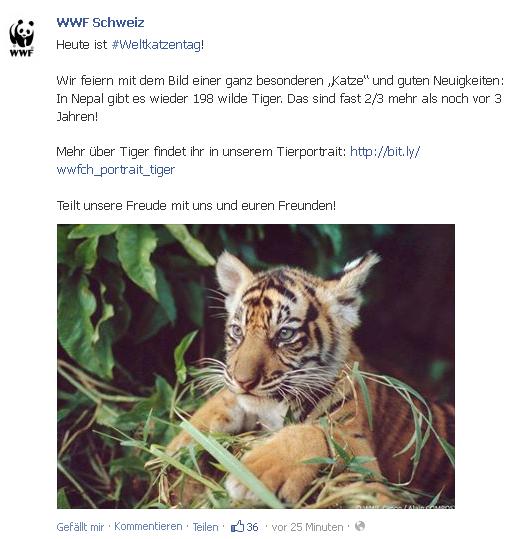 WWF Weltkatzentag